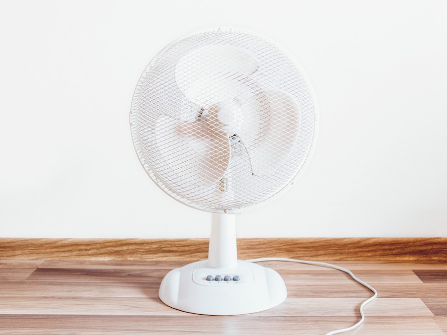 Fan summer heat