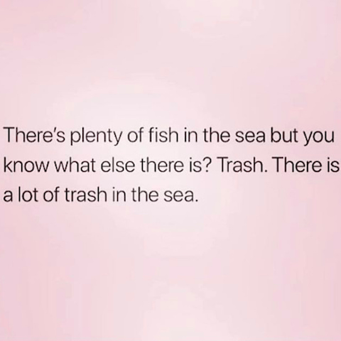 funny meme about other fish in the sea. 